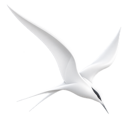 Tern